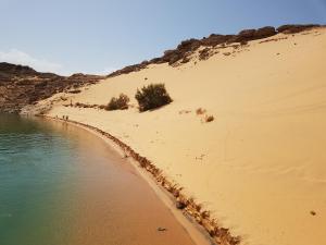 une plage désertique du lac Nasser